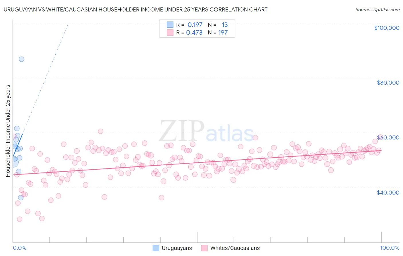 Uruguayan vs White/Caucasian Householder Income Under 25 years