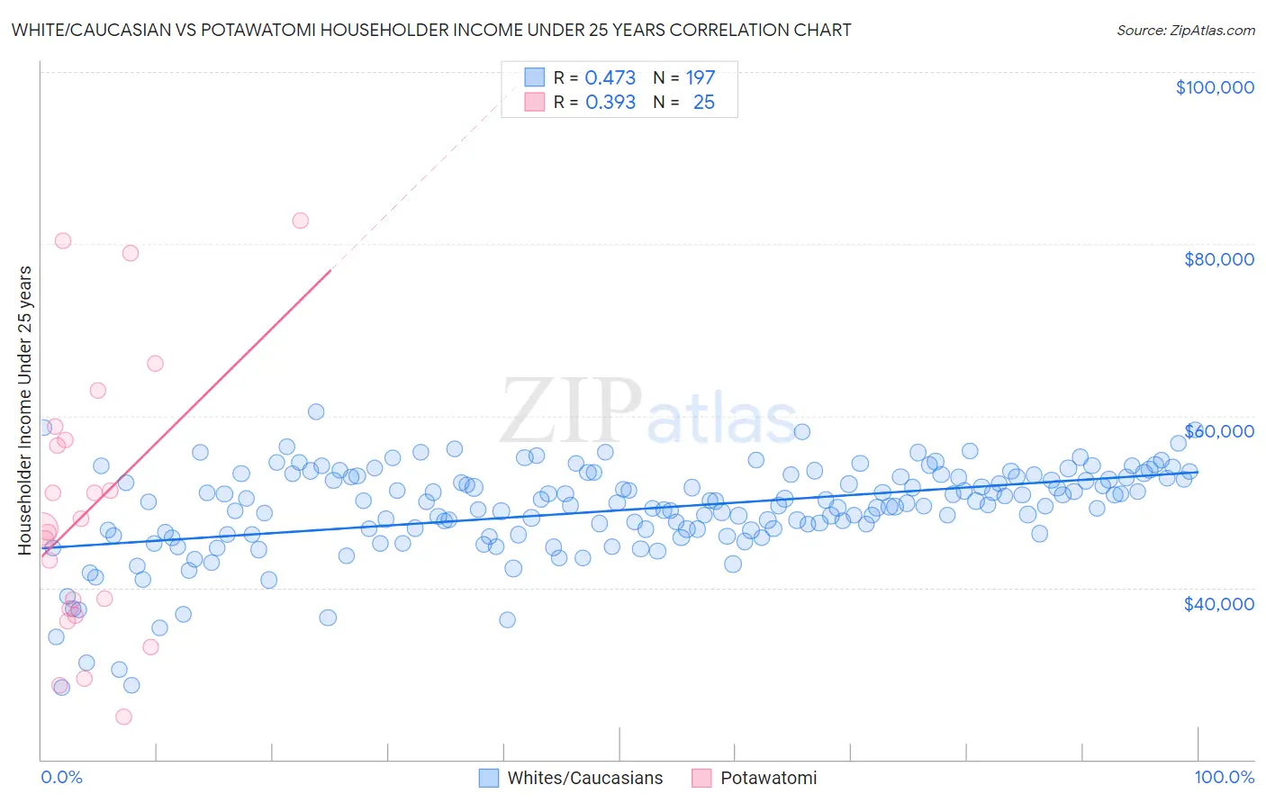 White/Caucasian vs Potawatomi Householder Income Under 25 years