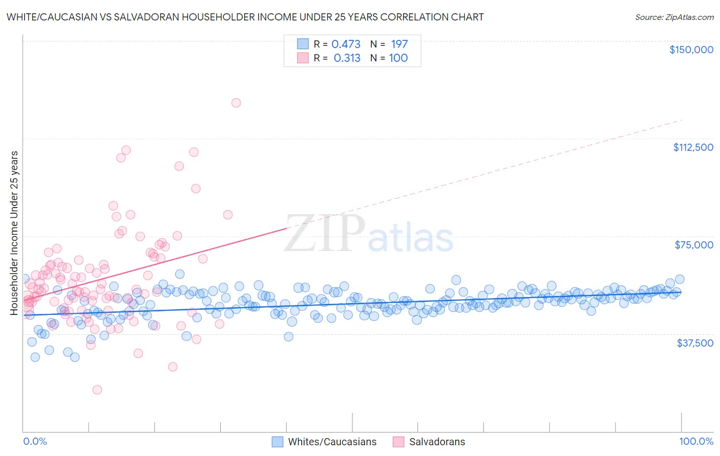 White/Caucasian vs Salvadoran Householder Income Under 25 years