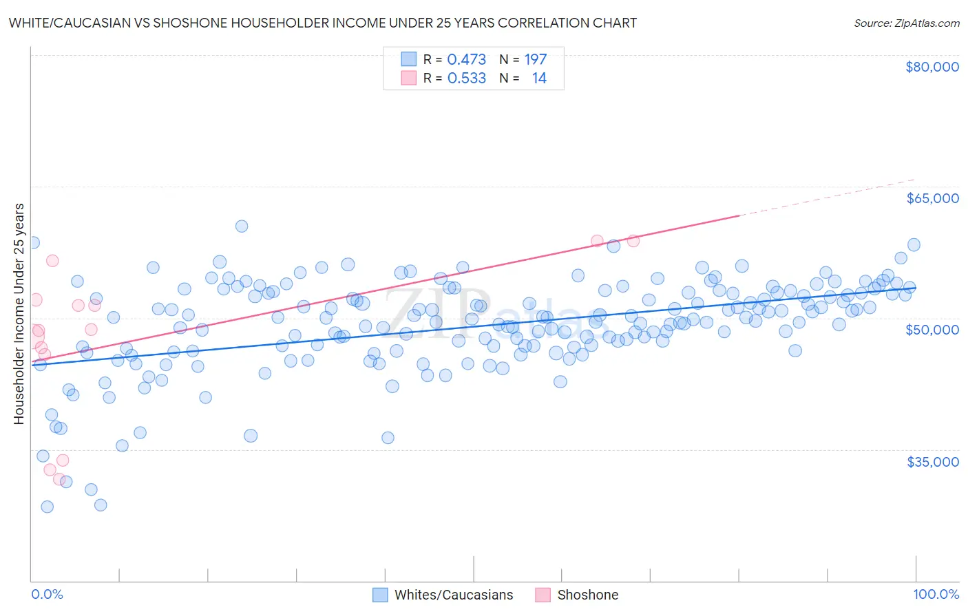 White/Caucasian vs Shoshone Householder Income Under 25 years