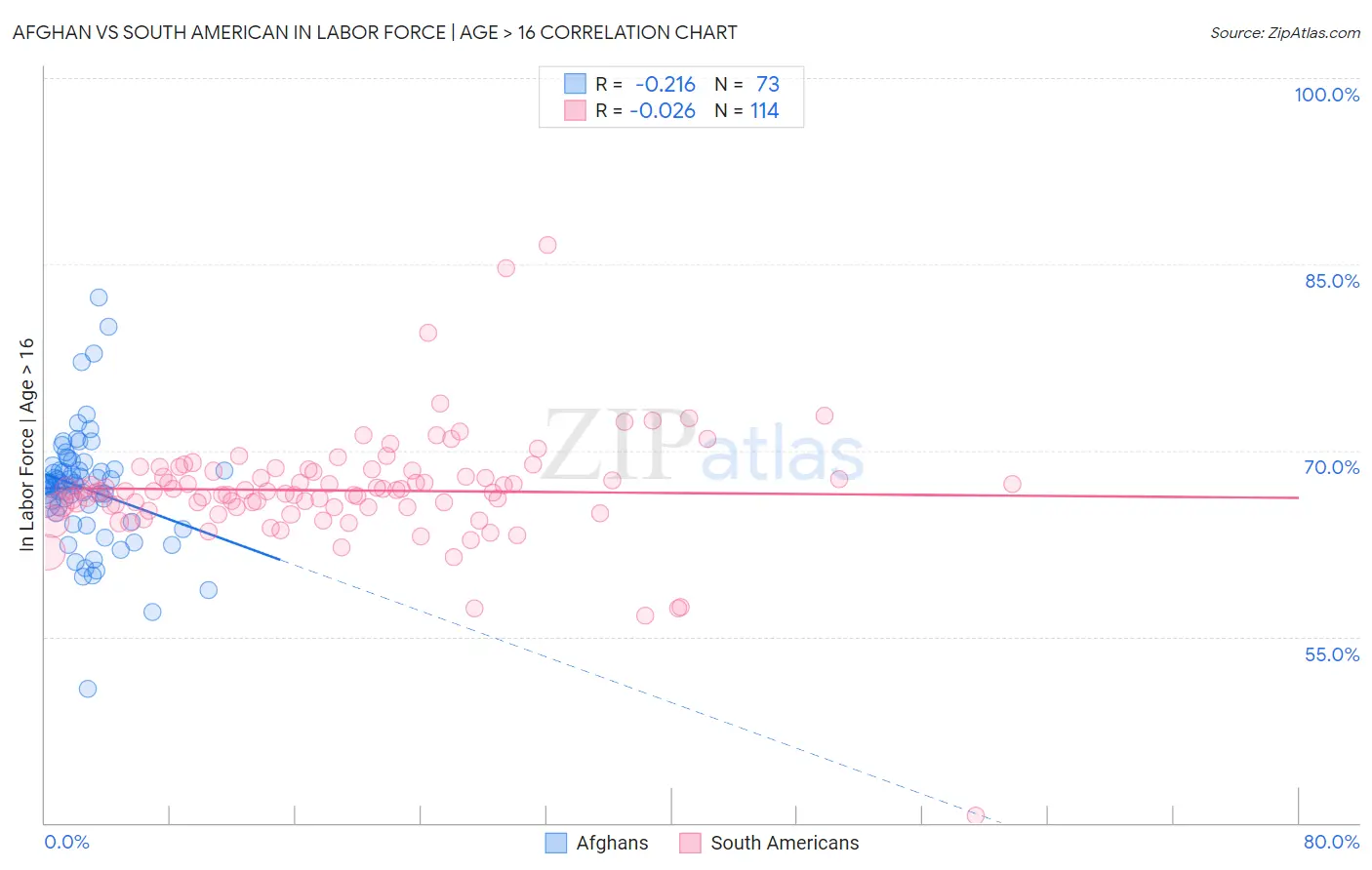 Afghan vs South American In Labor Force | Age > 16