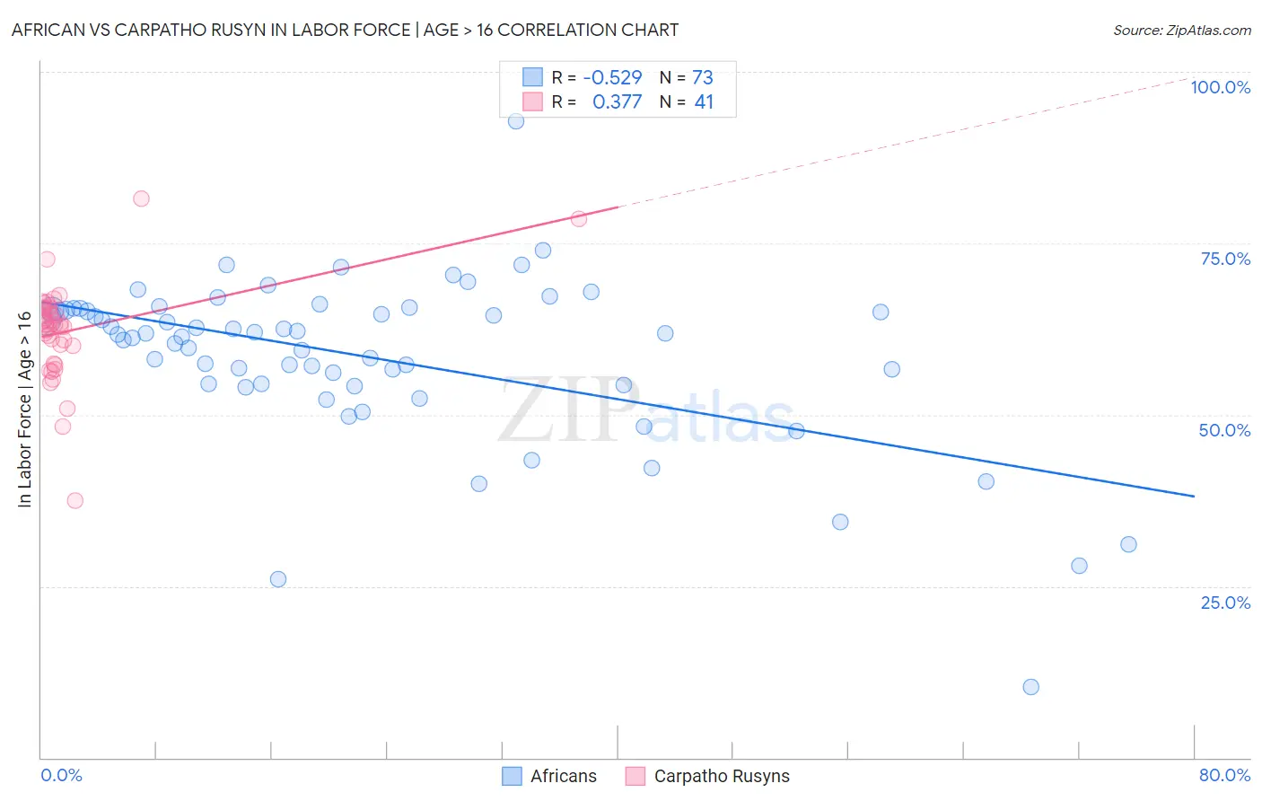 African vs Carpatho Rusyn In Labor Force | Age > 16