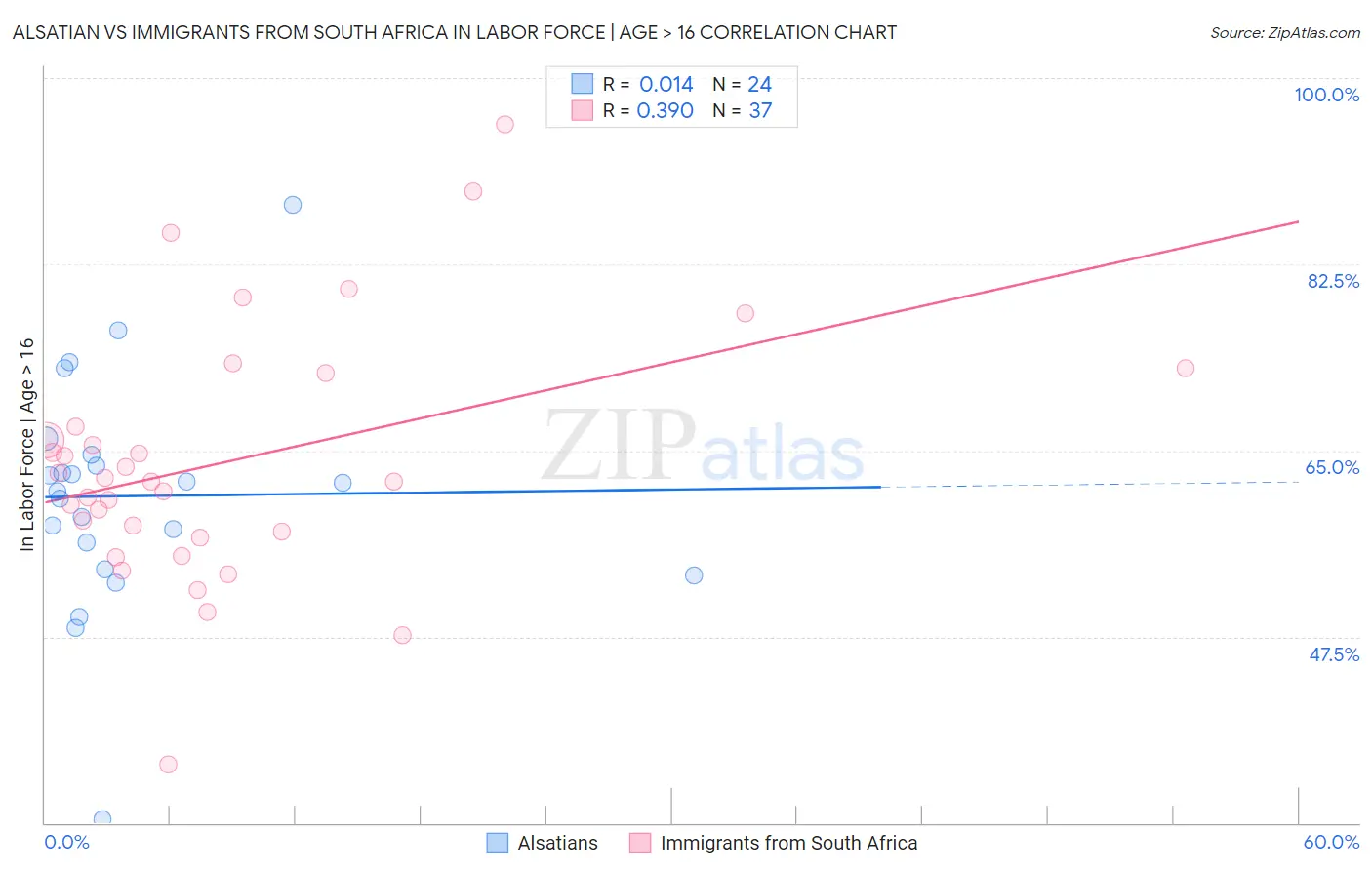Alsatian vs Immigrants from South Africa In Labor Force | Age > 16
