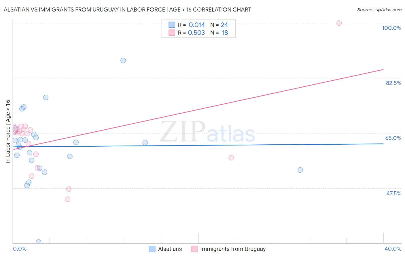 Alsatian vs Immigrants from Uruguay In Labor Force | Age > 16