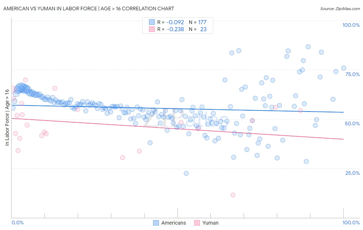 American vs Yuman In Labor Force | Age > 16