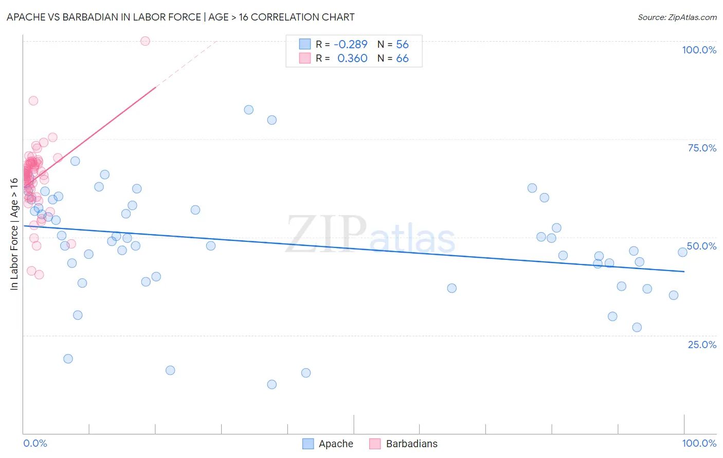 Apache vs Barbadian In Labor Force | Age > 16