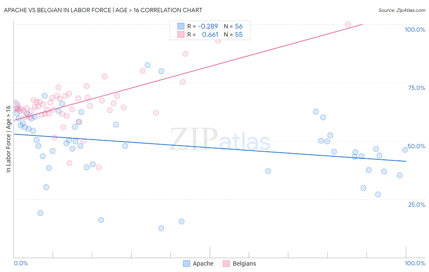 Apache vs Belgian In Labor Force | Age > 16