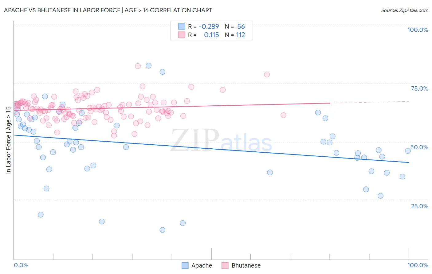 Apache vs Bhutanese In Labor Force | Age > 16