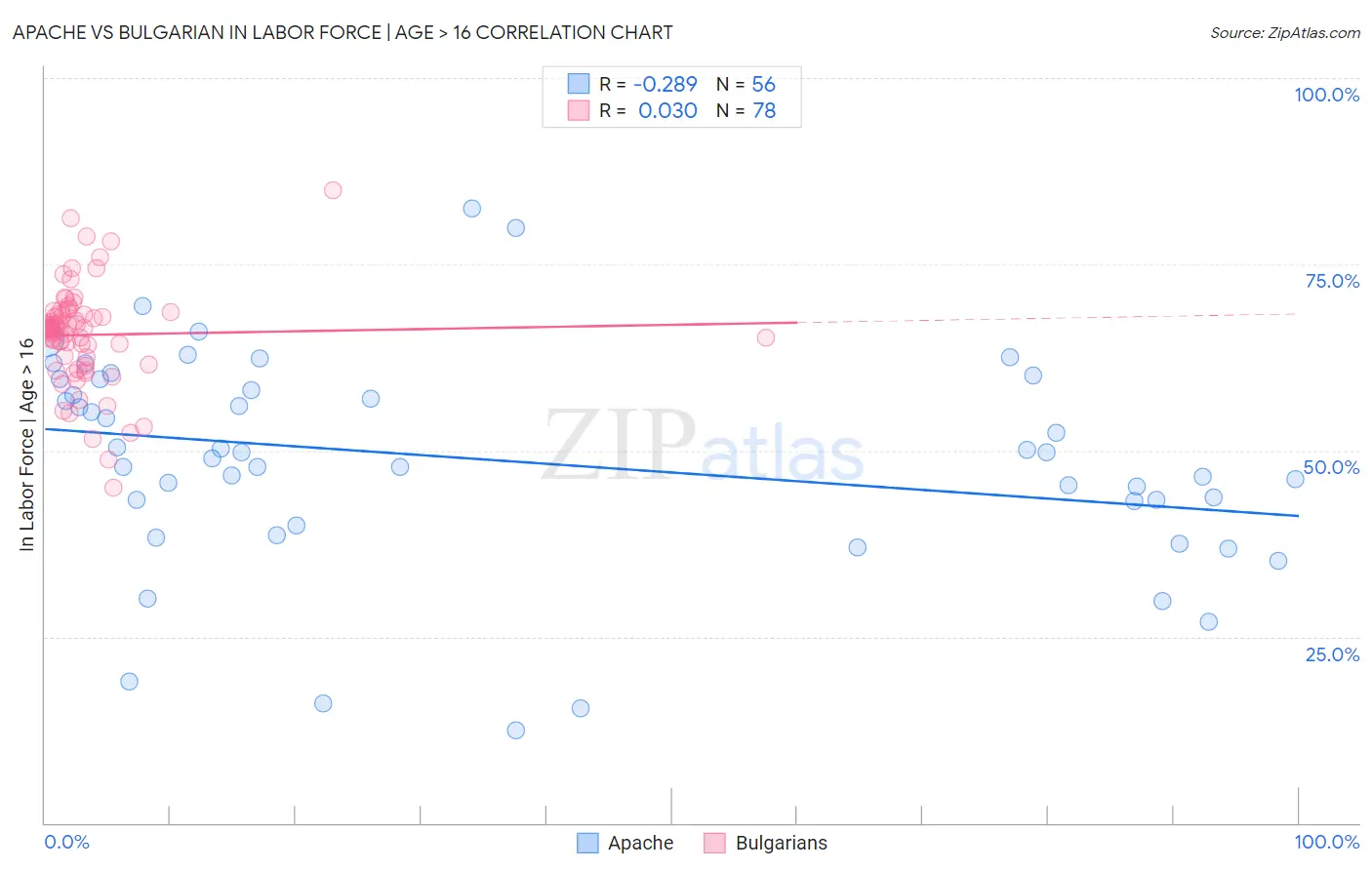 Apache vs Bulgarian In Labor Force | Age > 16