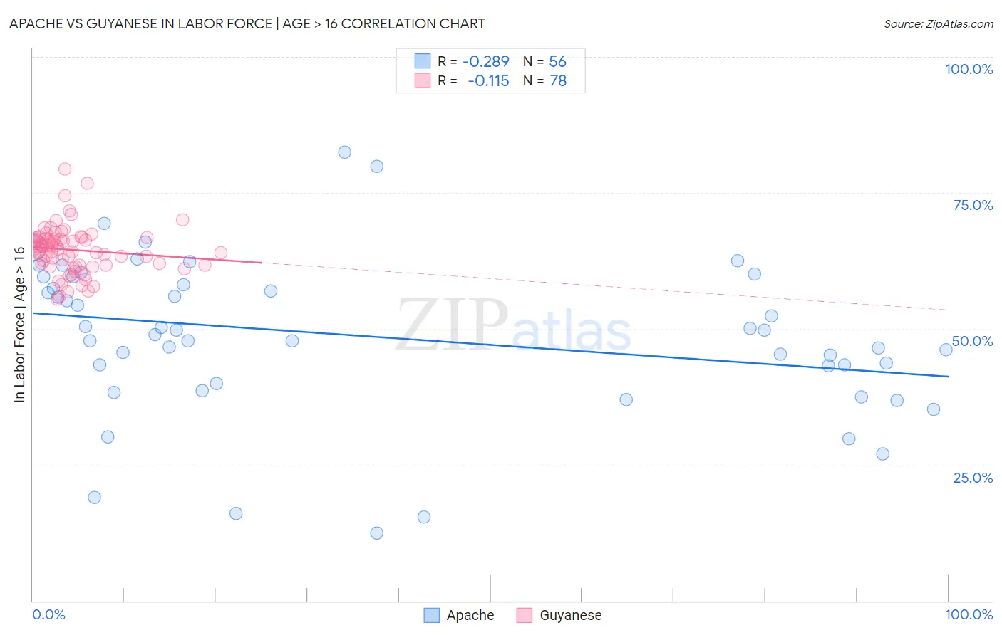 Apache vs Guyanese In Labor Force | Age > 16