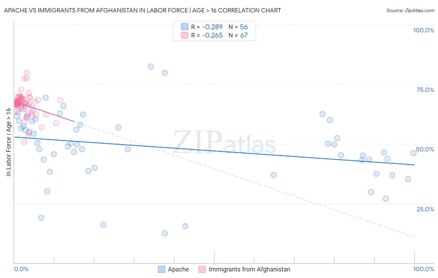 Apache vs Immigrants from Afghanistan In Labor Force | Age > 16