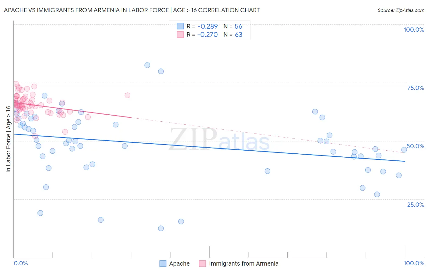 Apache vs Immigrants from Armenia In Labor Force | Age > 16