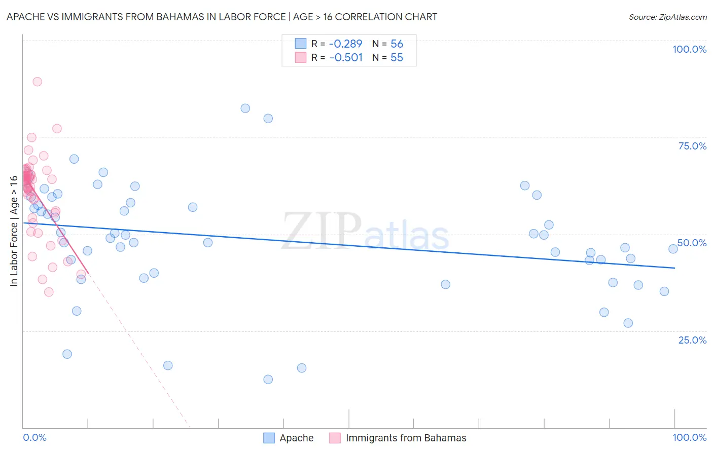 Apache vs Immigrants from Bahamas In Labor Force | Age > 16