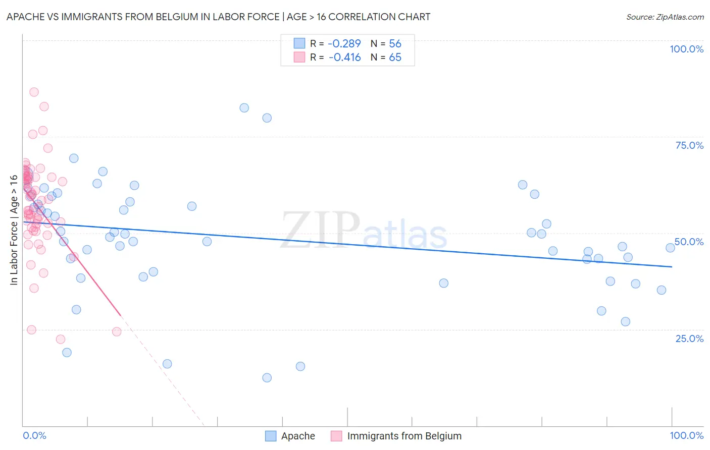 Apache vs Immigrants from Belgium In Labor Force | Age > 16