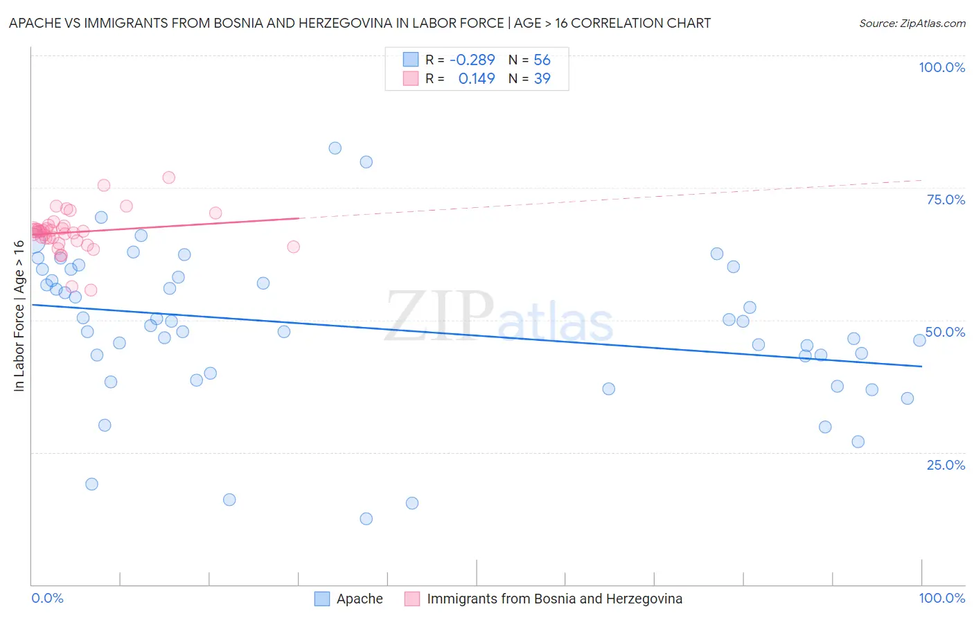 Apache vs Immigrants from Bosnia and Herzegovina In Labor Force | Age > 16