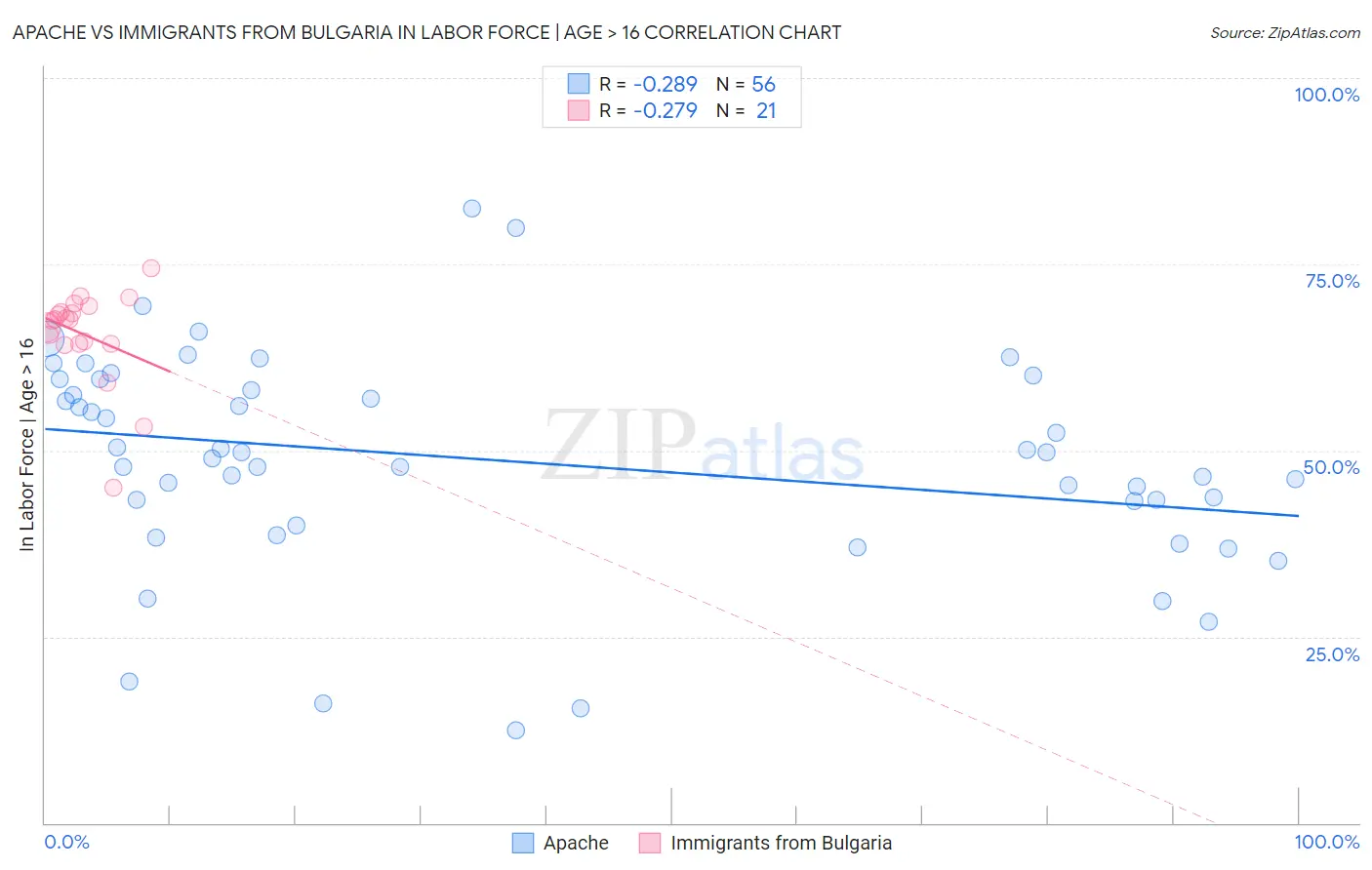 Apache vs Immigrants from Bulgaria In Labor Force | Age > 16