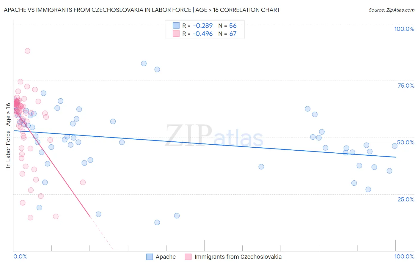 Apache vs Immigrants from Czechoslovakia In Labor Force | Age > 16