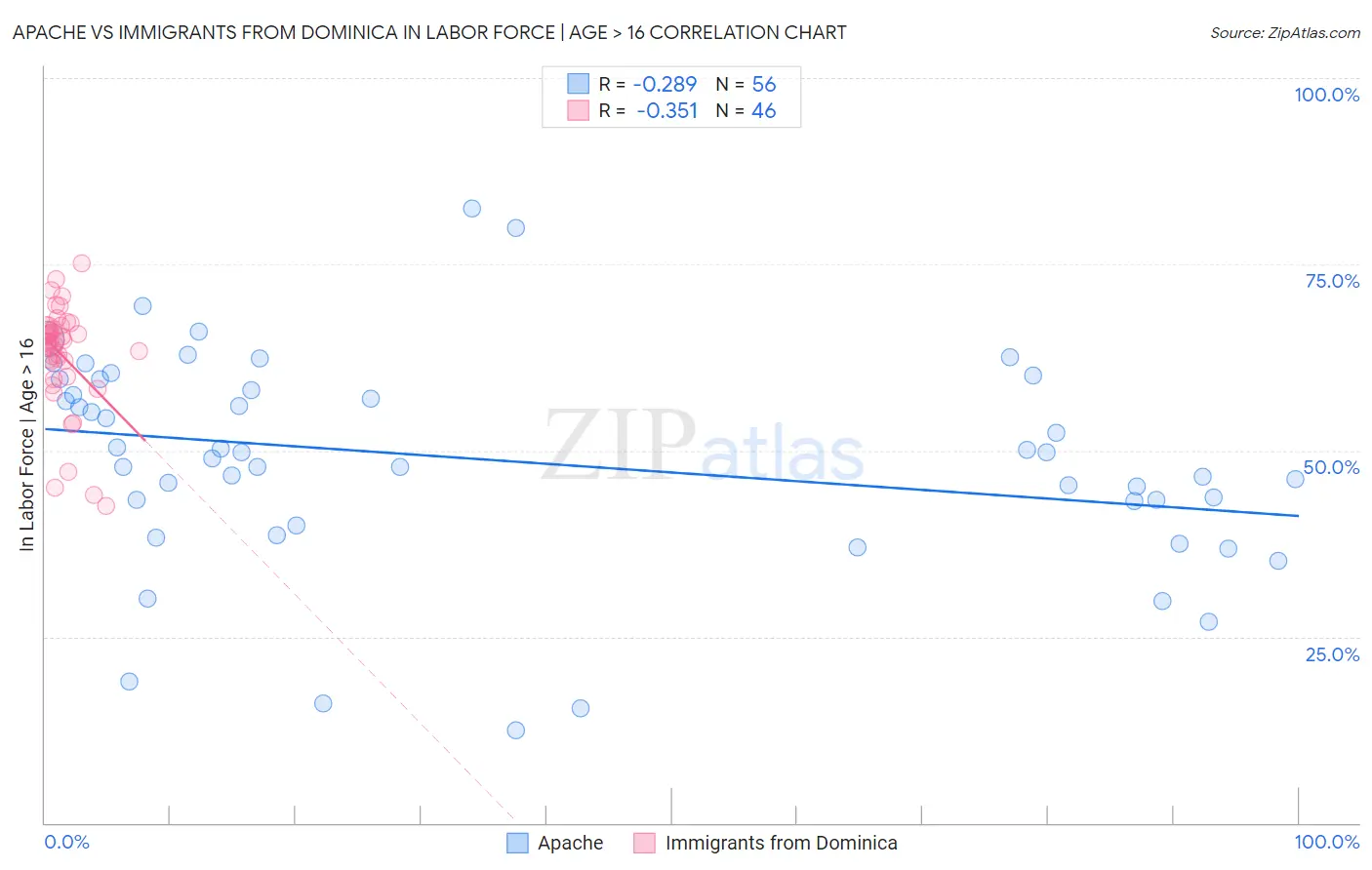 Apache vs Immigrants from Dominica In Labor Force | Age > 16