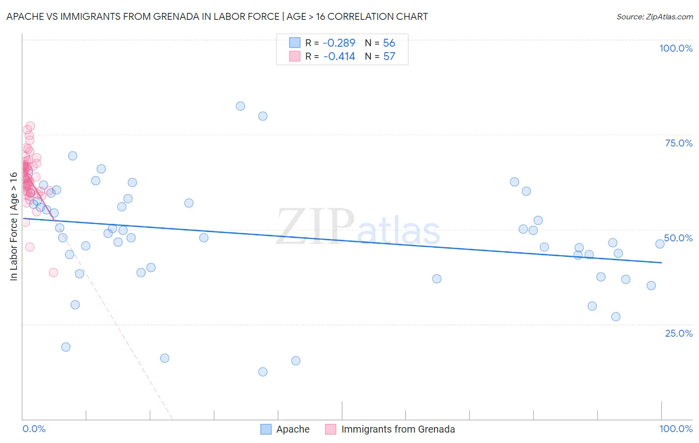 Apache vs Immigrants from Grenada In Labor Force | Age > 16