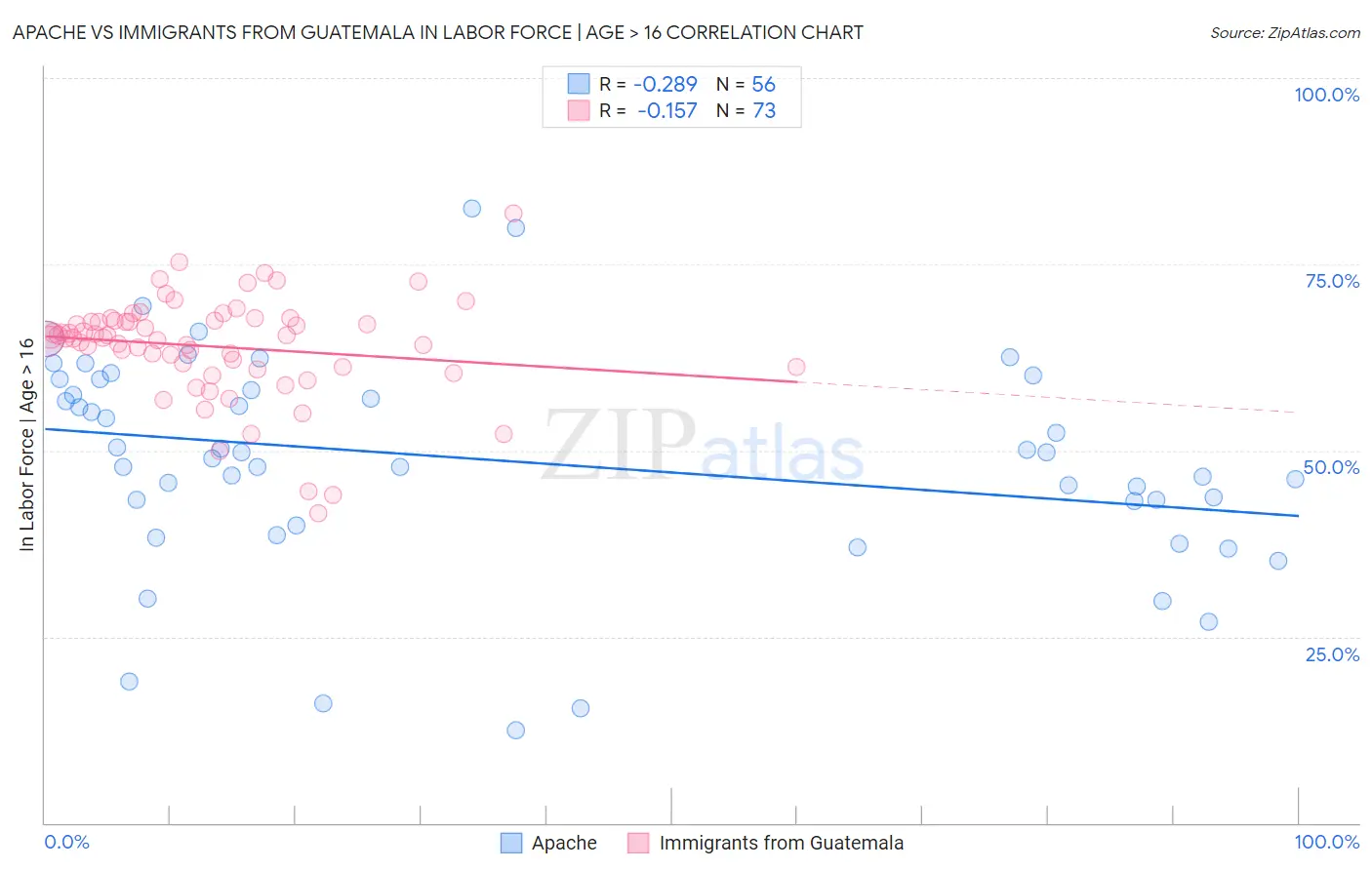 Apache vs Immigrants from Guatemala In Labor Force | Age > 16