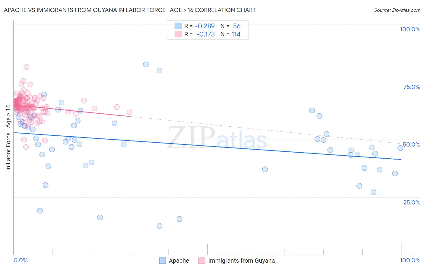 Apache vs Immigrants from Guyana In Labor Force | Age > 16