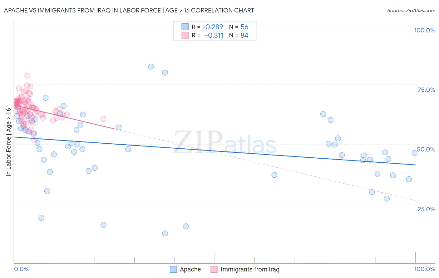 Apache vs Immigrants from Iraq In Labor Force | Age > 16