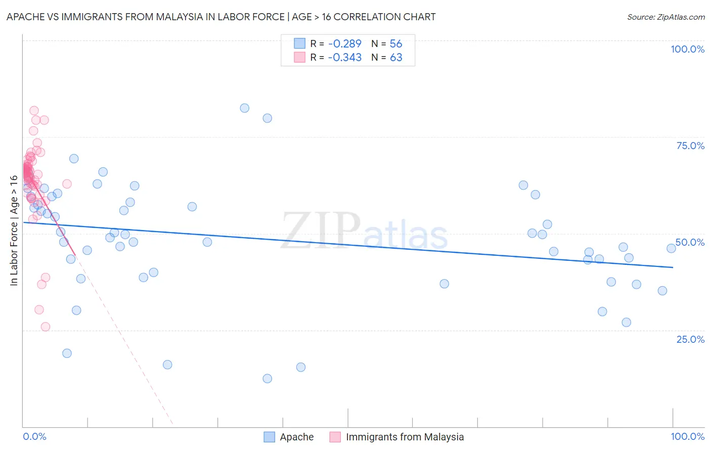 Apache vs Immigrants from Malaysia In Labor Force | Age > 16