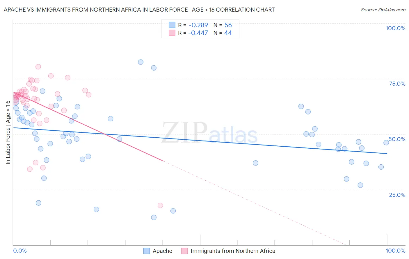 Apache vs Immigrants from Northern Africa In Labor Force | Age > 16