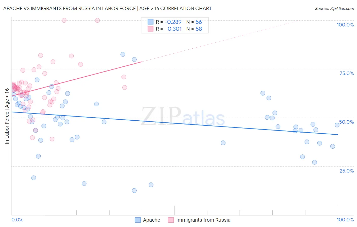 Apache vs Immigrants from Russia In Labor Force | Age > 16