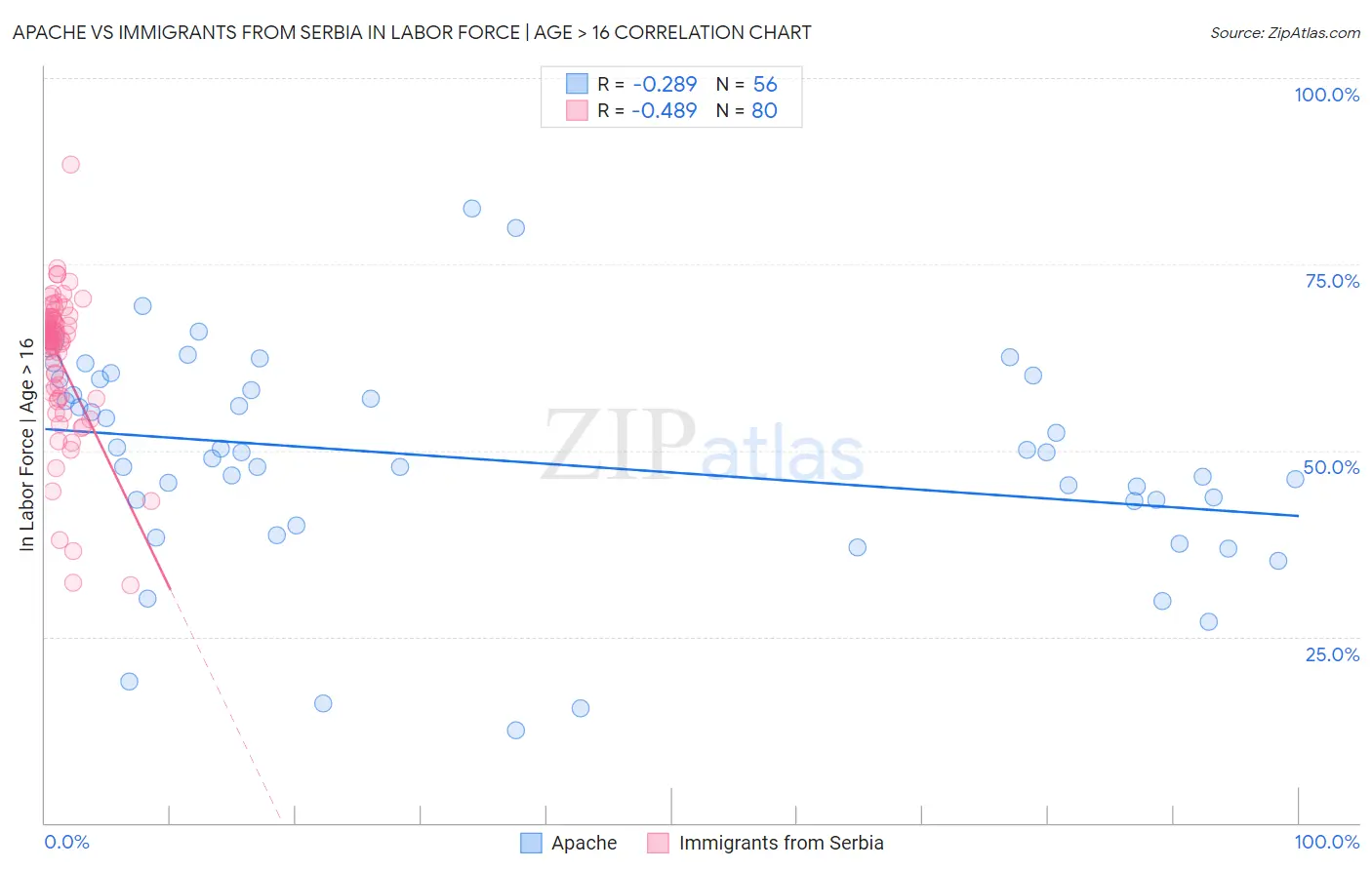 Apache vs Immigrants from Serbia In Labor Force | Age > 16
