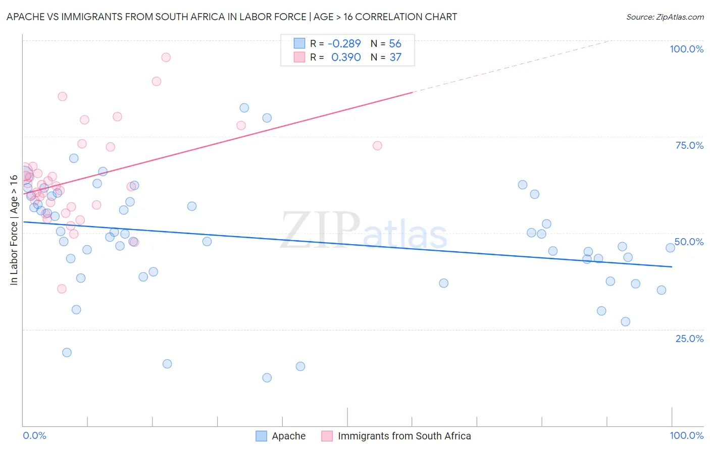 Apache vs Immigrants from South Africa In Labor Force | Age > 16
