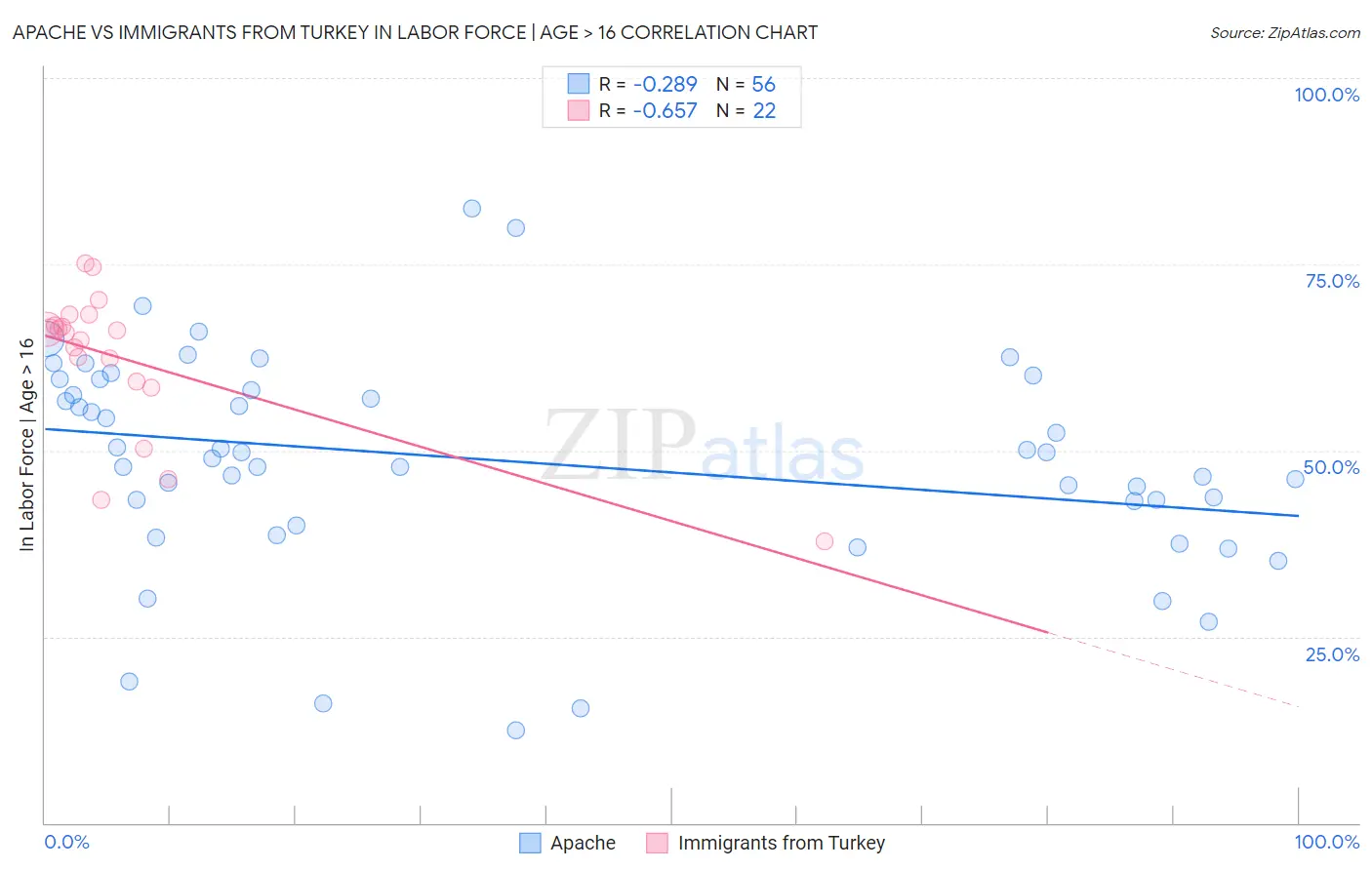 Apache vs Immigrants from Turkey In Labor Force | Age > 16