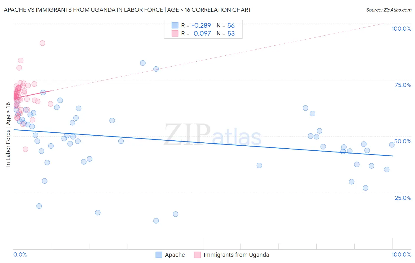 Apache vs Immigrants from Uganda In Labor Force | Age > 16
