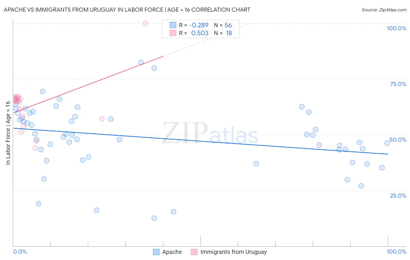 Apache vs Immigrants from Uruguay In Labor Force | Age > 16