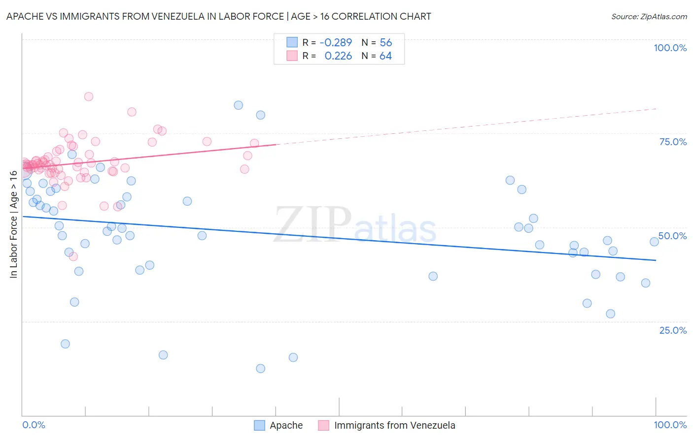 Apache vs Immigrants from Venezuela In Labor Force | Age > 16
