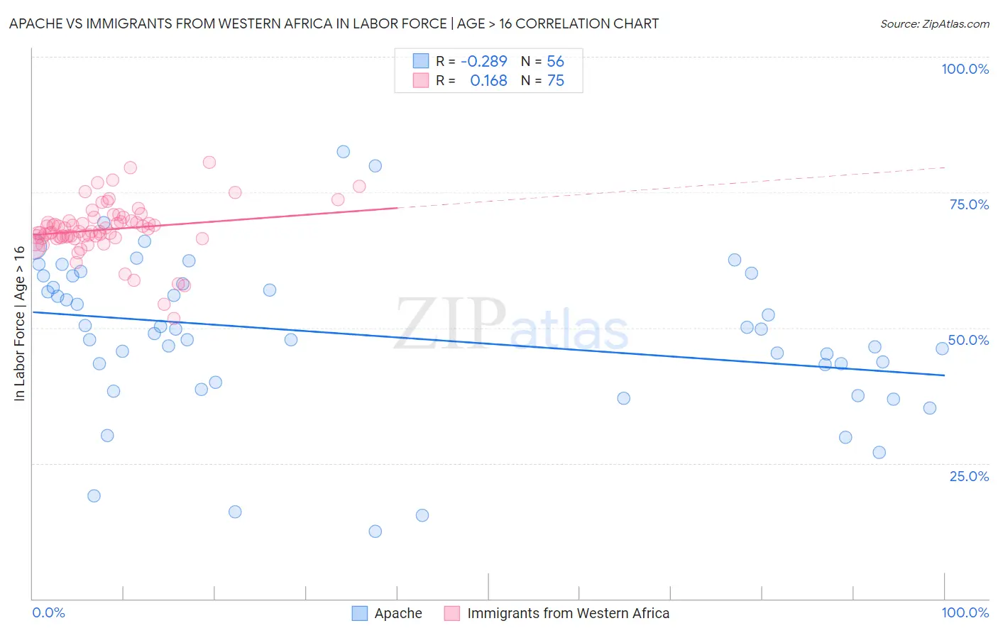 Apache vs Immigrants from Western Africa In Labor Force | Age > 16