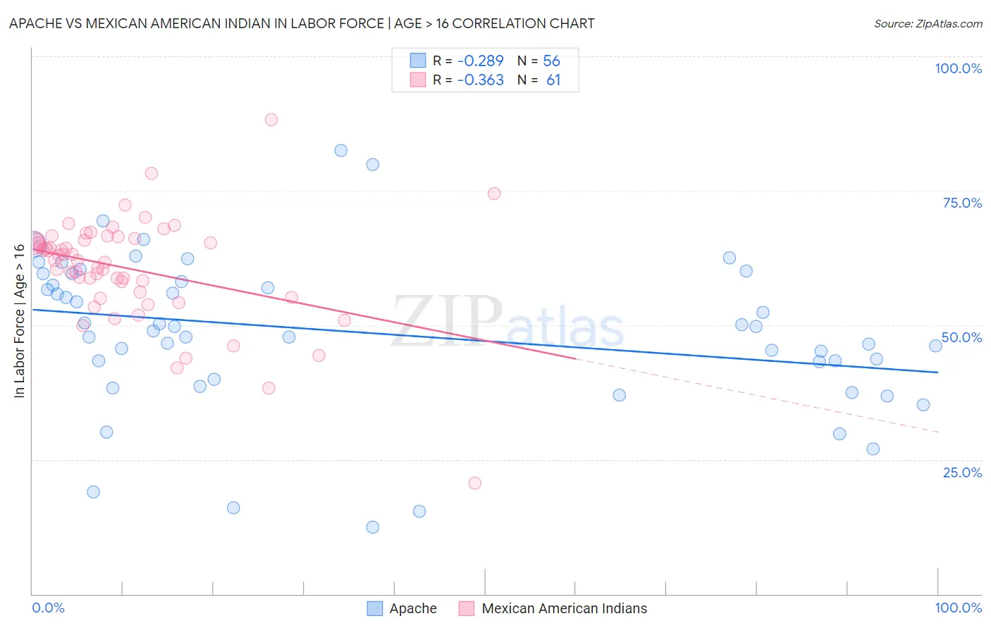 Apache vs Mexican American Indian In Labor Force | Age > 16
