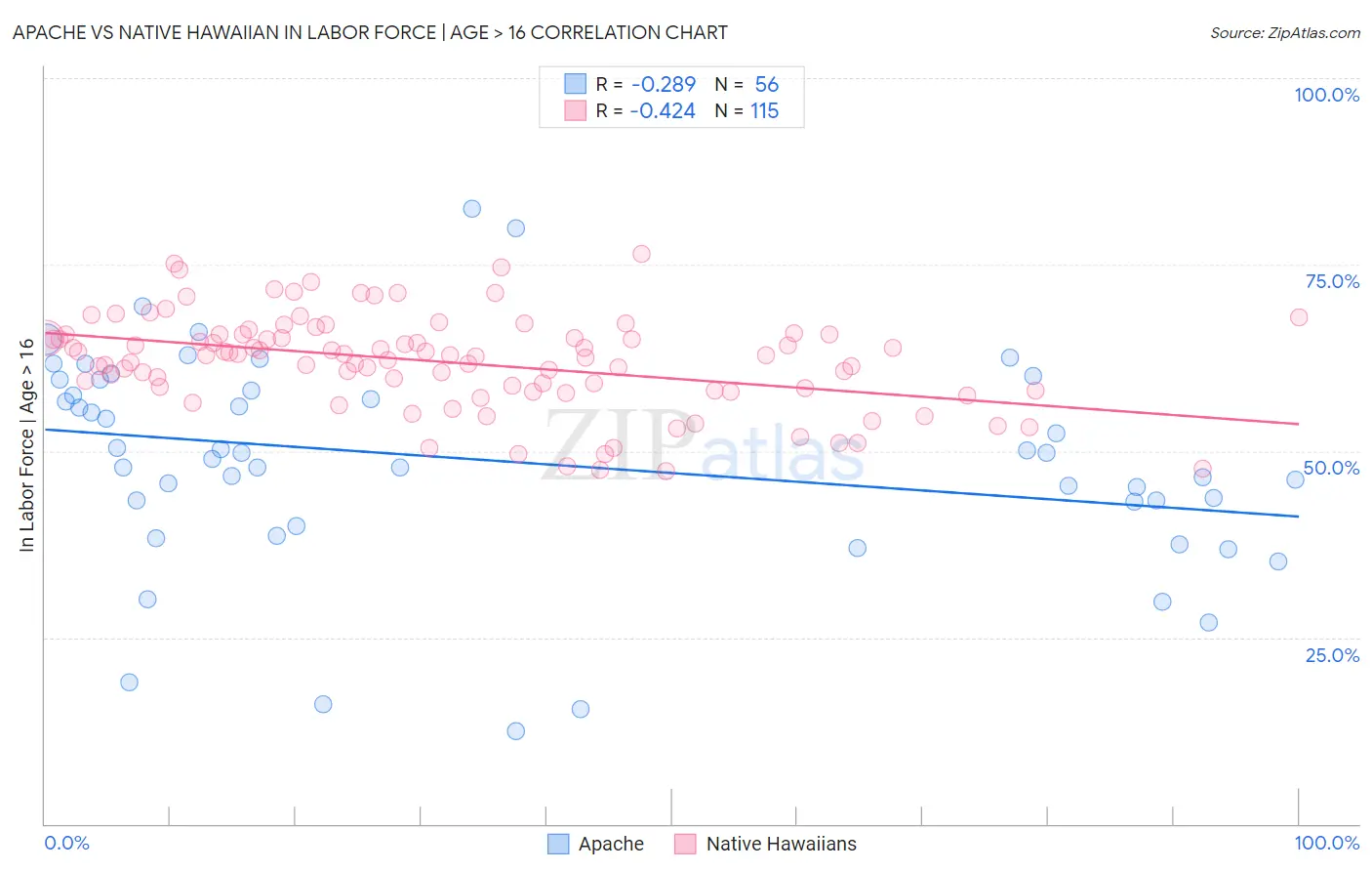 Apache vs Native Hawaiian In Labor Force | Age > 16