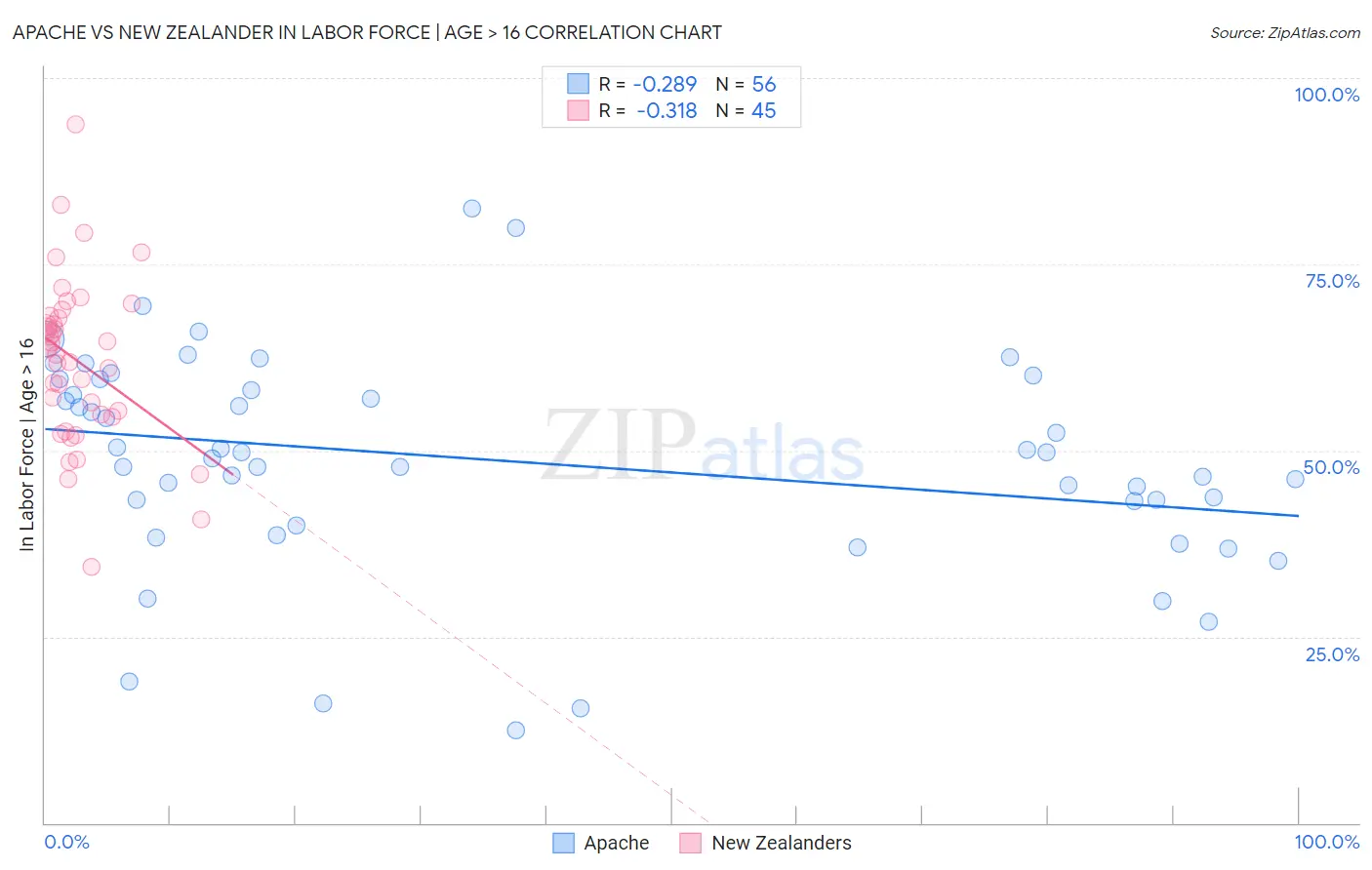 Apache vs New Zealander In Labor Force | Age > 16