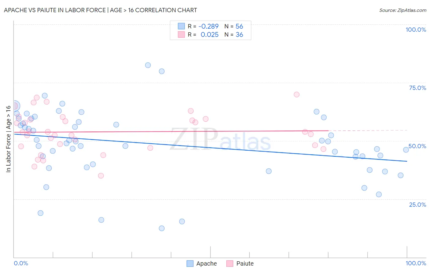 Apache vs Paiute In Labor Force | Age > 16