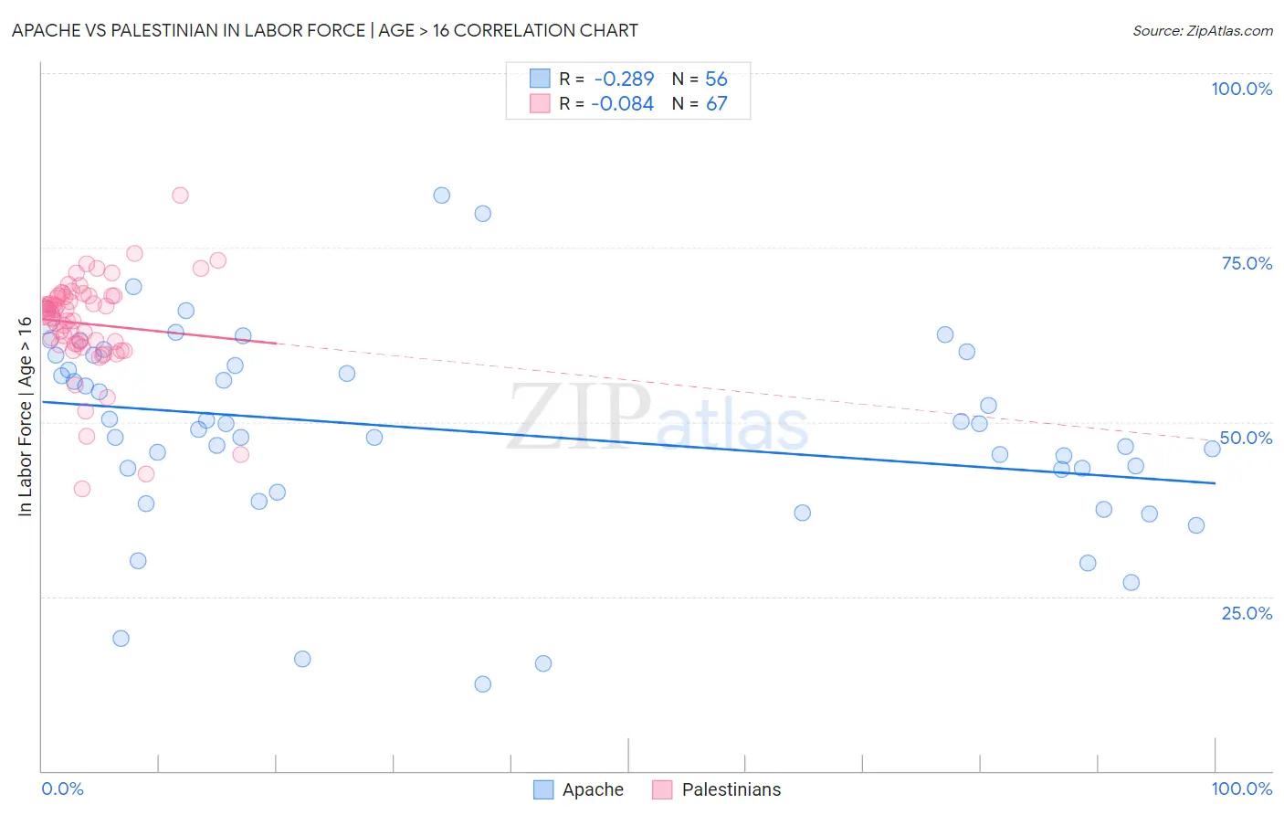 Apache vs Palestinian In Labor Force | Age > 16