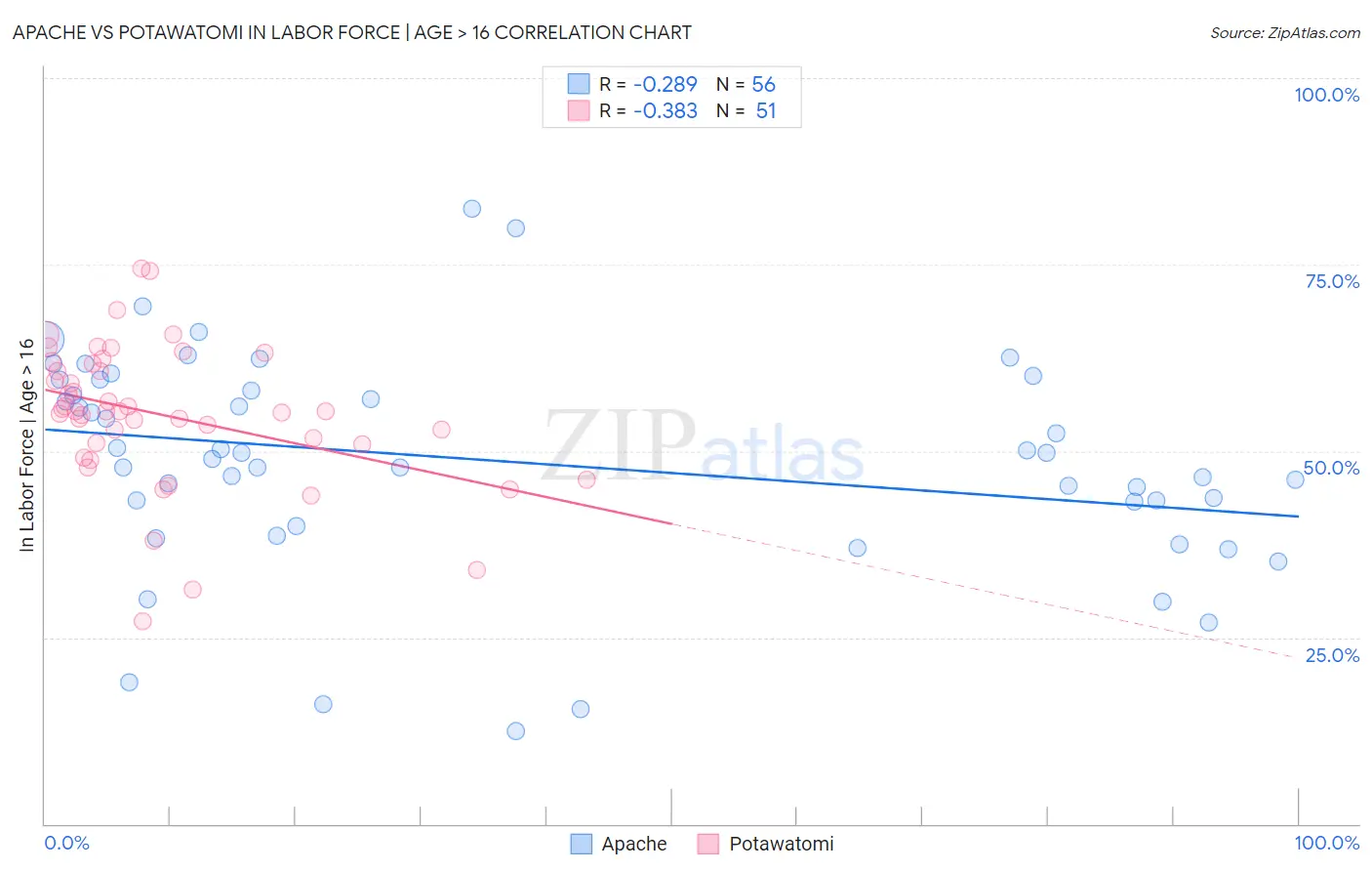 Apache vs Potawatomi In Labor Force | Age > 16