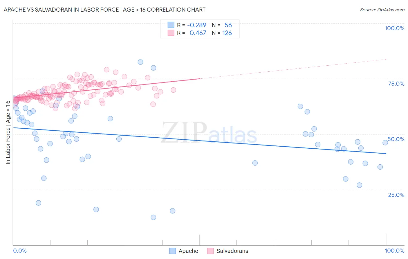 Apache vs Salvadoran In Labor Force | Age > 16