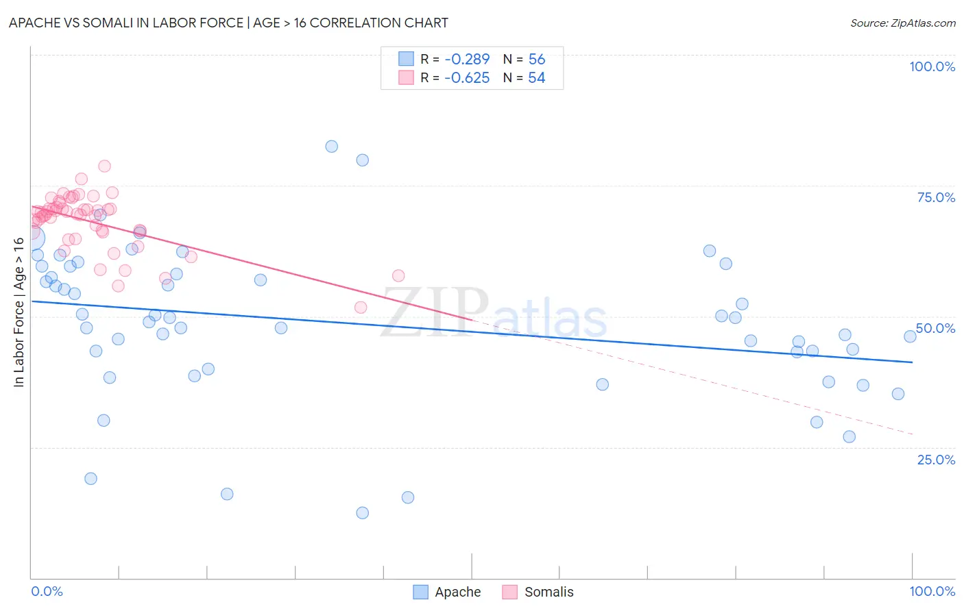 Apache vs Somali In Labor Force | Age > 16