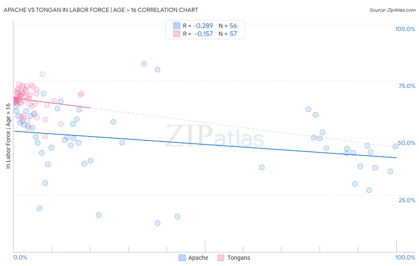 Apache vs Tongan In Labor Force | Age > 16