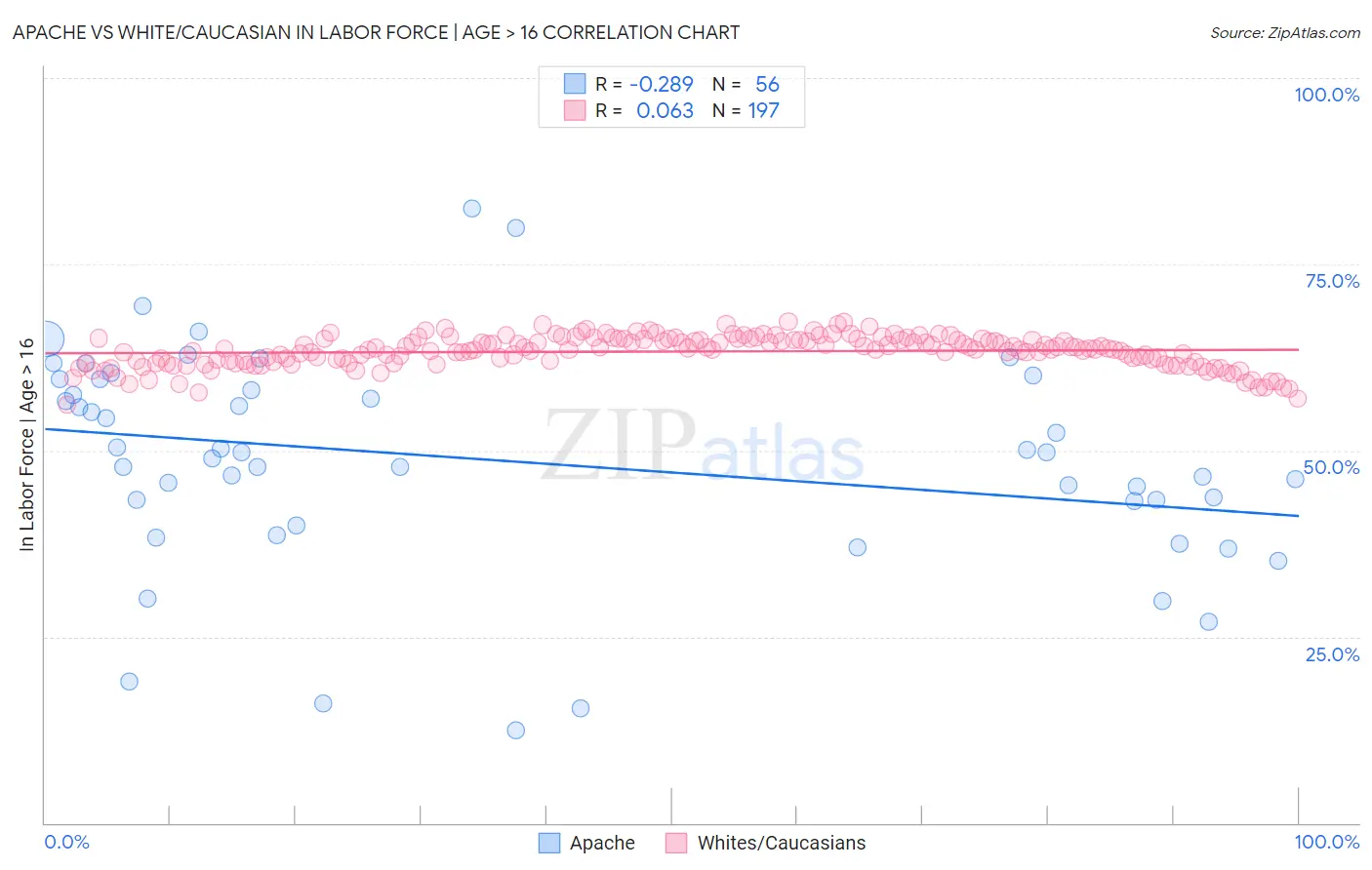 Apache vs White/Caucasian In Labor Force | Age > 16