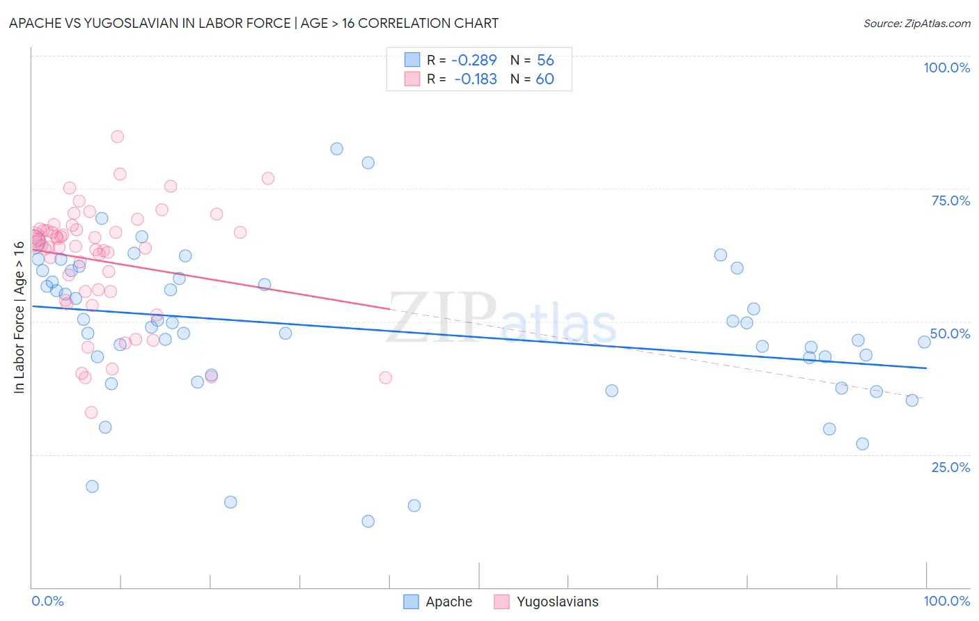 Apache vs Yugoslavian In Labor Force | Age > 16
