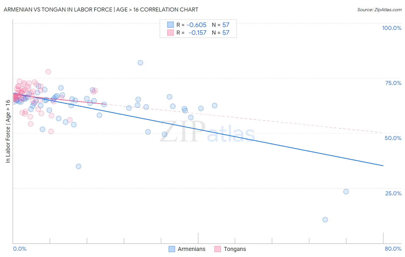 Armenian vs Tongan In Labor Force | Age > 16
