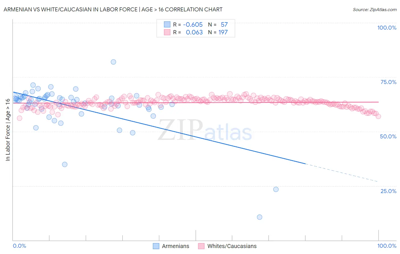 Armenian vs White/Caucasian In Labor Force | Age > 16