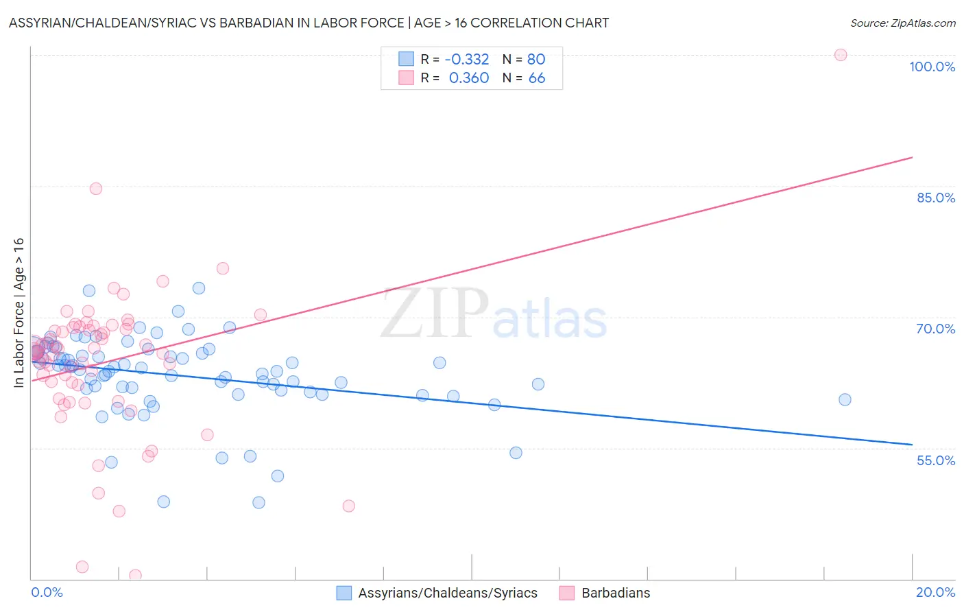 Assyrian/Chaldean/Syriac vs Barbadian In Labor Force | Age > 16